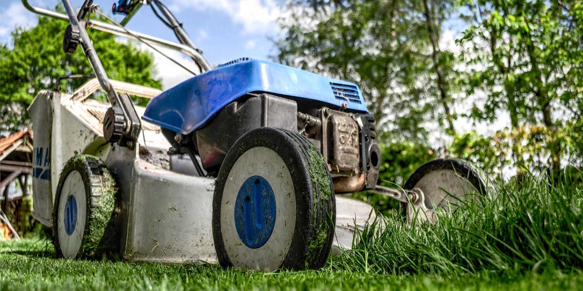 Must-Have Garden And Lawn Care Equipment