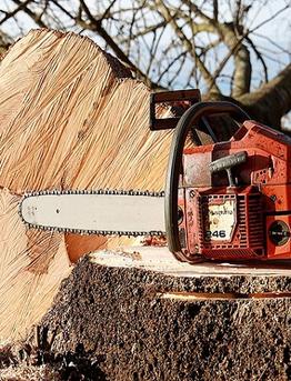 8 Wood Cutting Tools You Need For Your Tool-shed