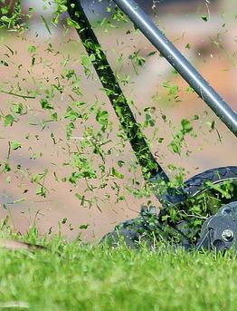 How to use a Lawn Edger